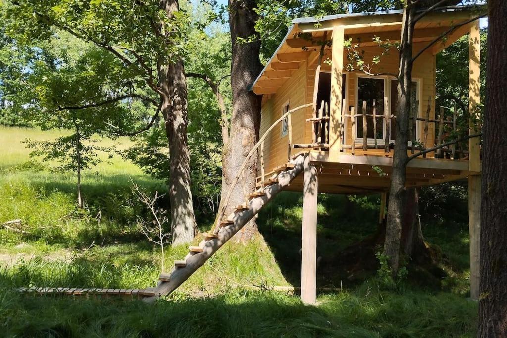 شقة Treehouse Lea Mikulášovice المظهر الخارجي الصورة
